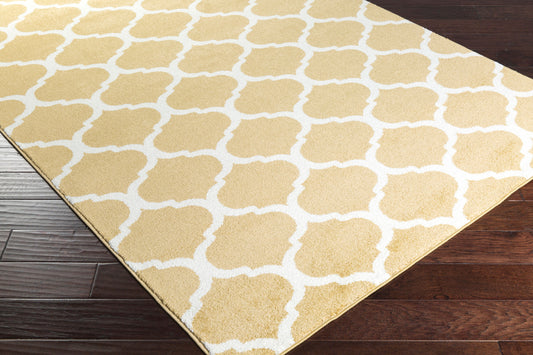 Horizon HRZ-1077 Alfombra decorativa tejida a máquina de 3' x 5'