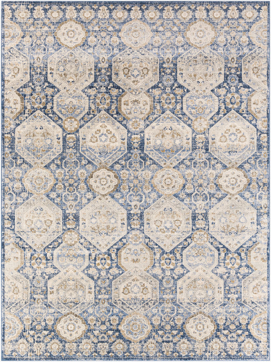 Indigo IGO-2309 8' x 10' Machine Woven Area Rug