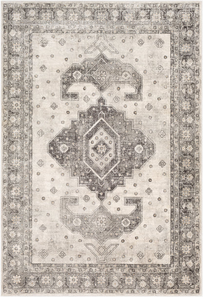Indigo IGO-2322 2' x 3' Machine Woven Accent Rug