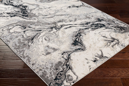 Impulse IPS-2304 4' x 6' Machine Woven Area Rug