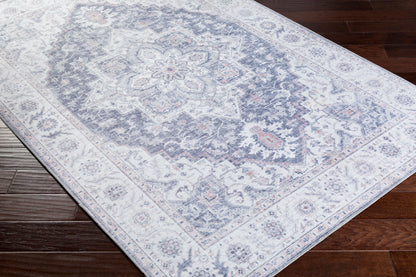 Iris IRS-2302 2' x 3' Machine Woven Accent Rug