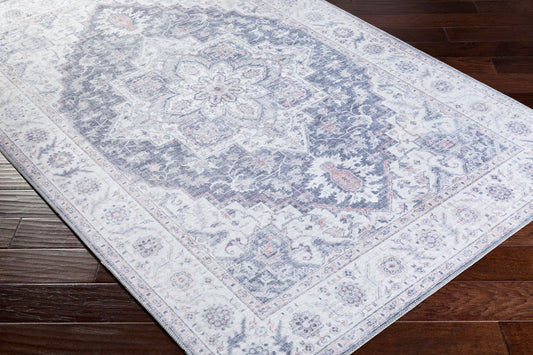 Iris IRS-2302 2' x 3' Machine Woven Accent Rug
