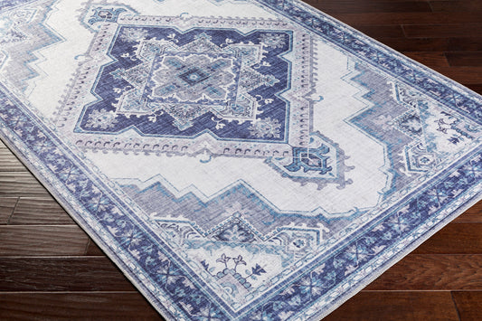 Iris IRS-2303 2' x 3' Machine Woven Accent Rug