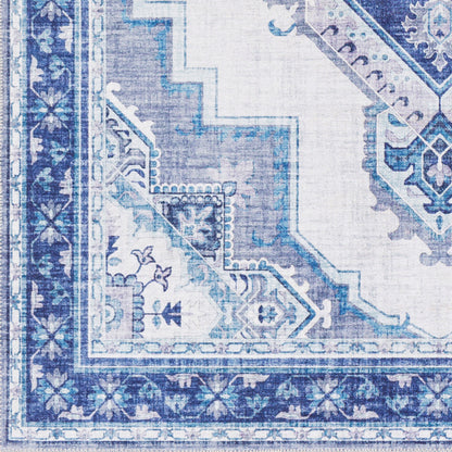 Iris IRS-2303 2' x 3' Machine Woven Accent Rug