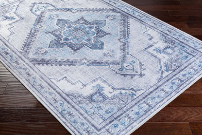 Iris IRS-2304 2' x 3' Machine Woven Accent Rug
