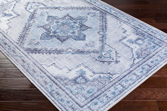 Iris IRS-2304 2' x 3' Machine Woven Accent Rug