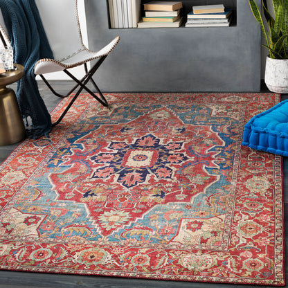 Iris IRS-2309 3' x 5' Machine Woven Accent Rug