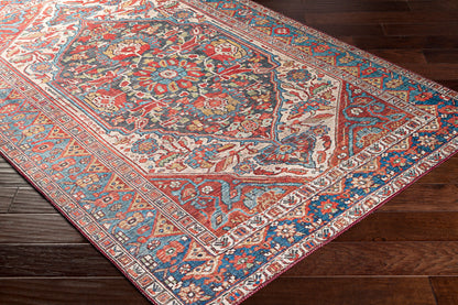 Iris IRS-2342 2' x 3' Machine Woven Accent Rug