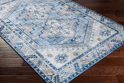 Iris IRS-2355 2' x 3' Machine Woven Accent Rug