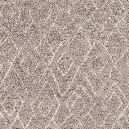 Javier JAV-1000 2' x 3' Handmade Wool Accent Rug
