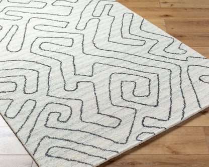 Alfombra decorativa de lana hecha a mano Jules JLS-2302 de 2' x 3'