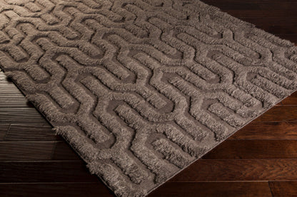 Kabru KAB-8004 2' x 3' Handmade Wool Accent Rug