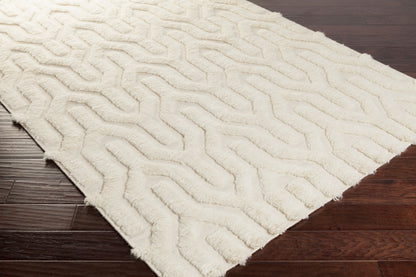 Kabru KAB-8006 2' x 3' Handmade Wool Accent Rug