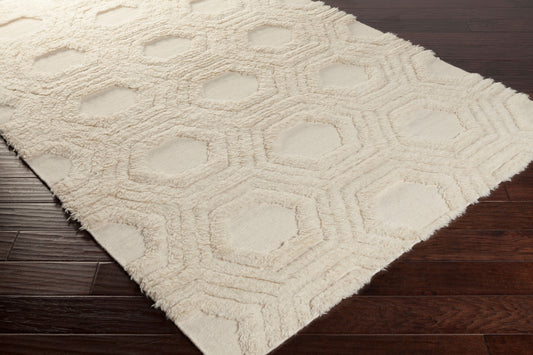 Kabru KAB-8017 2' x 3' Handmade Wool Accent Rug