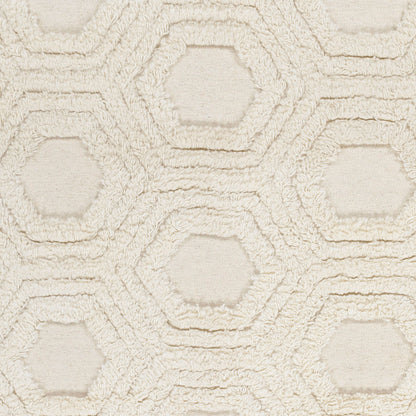 Kabru KAB-8017 2' x 3' Handmade Wool Accent Rug