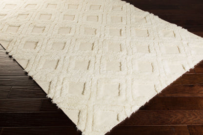 Kabru KAB-8018 2' x 3' Handmade Wool Accent Rug
