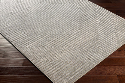 Kingston KGS-2306 5' x 7' Machine Woven Area Rug