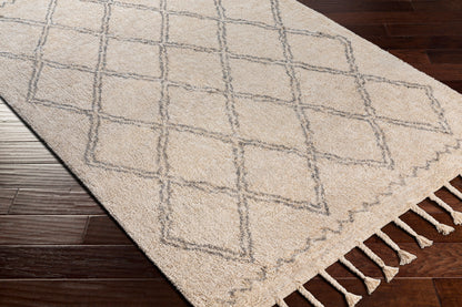 Khemisset KMS-2304 Alfombra decorativa hecha a mano de 2' x 4'