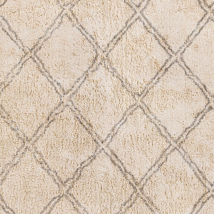 Khemisset KMS-2304 Alfombra decorativa hecha a mano de 2' x 4'
