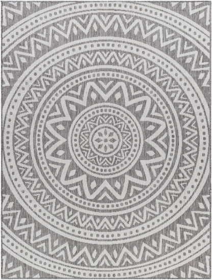 Long Beach LBH-2317 6' x 9' Machine Woven Indoor/Outdoor Area Rug