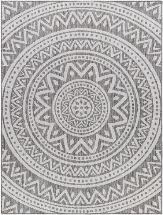 Long Beach LBH-2317 6' x 9' Machine Woven Indoor/Outdoor Area Rug