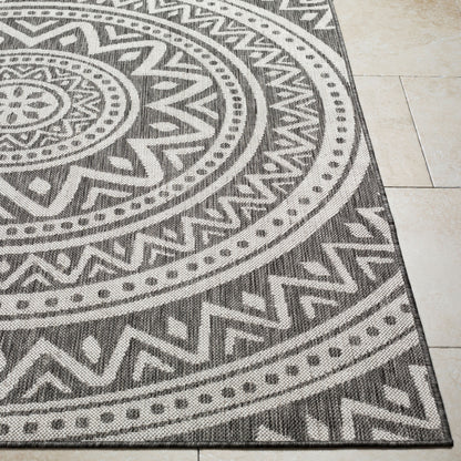 Long Beach LBH-2317 5' x 7' Machine Woven Indoor/Outdoor Area Rug