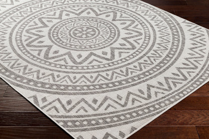 Long Beach LBH-2318 7ft Runner Machine Woven Indoor/Outdoor Runner Rug