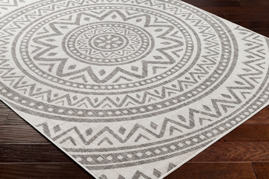 Long Beach LBH-2318 6' x 9' Machine Woven Indoor/Outdoor Area Rug