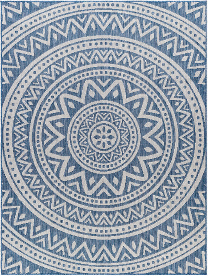 Long Beach LBH-2319 5' x 7' Machine Woven Indoor/Outdoor Area Rug