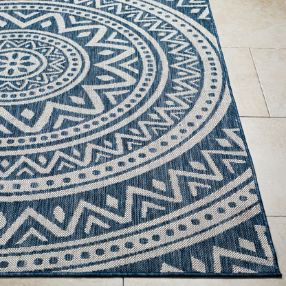 Long Beach LBH-2319 6' x 9' Machine Woven Indoor/Outdoor Area Rug