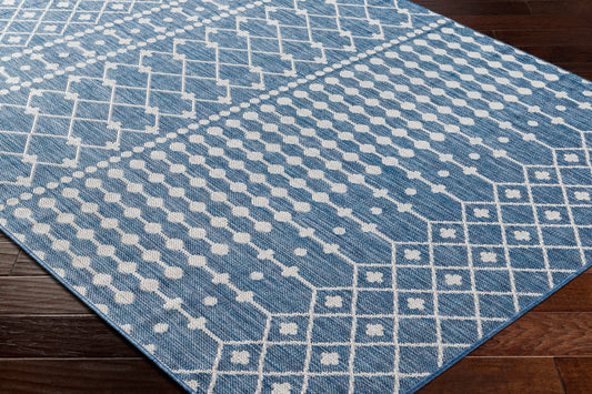 Long Beach LBH-2331 5' x 7' Machine Woven Indoor/Outdoor Area Rug