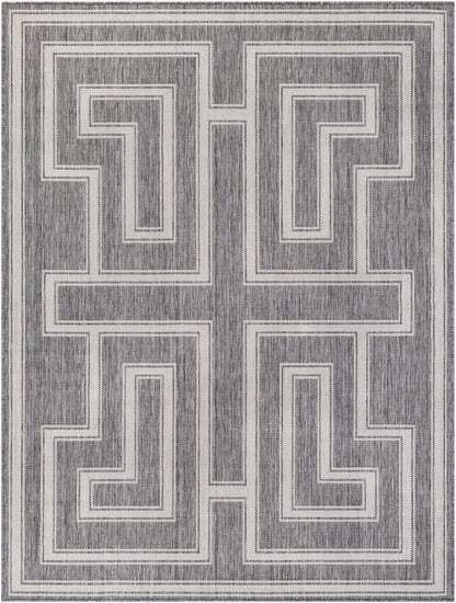 Long Beach LBH-2342 5' x 7' Machine Woven Indoor/Outdoor Area Rug