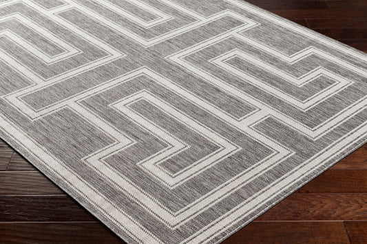 Long Beach LBH-2342 5' x 7' Machine Woven Indoor/Outdoor Area Rug