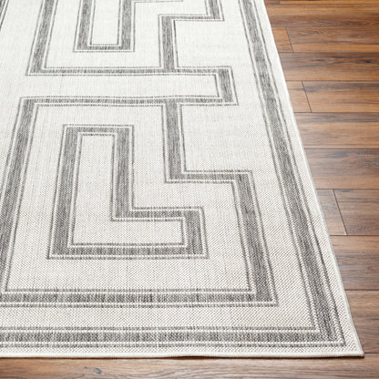 Long Beach LBH-2343 6' x 9' Machine Woven Indoor/Outdoor Area Rug