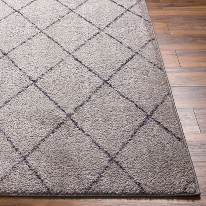 Lykke LKK-2302 8' x 10' Machine Woven Washable Area Rug