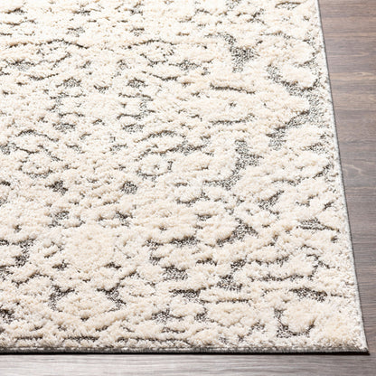 La Maison LMS-2306 5' x 7' Machine Woven Area Rug