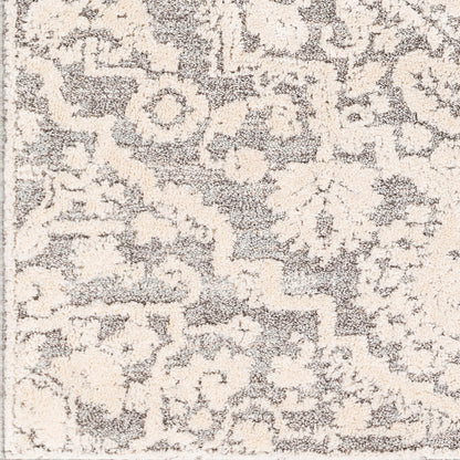 La Maison LMS-2306 5' x 7' Machine Woven Area Rug