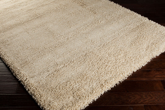 Luxury Shag LXY-1727 2' x 3' Machine Woven Accent Rug
