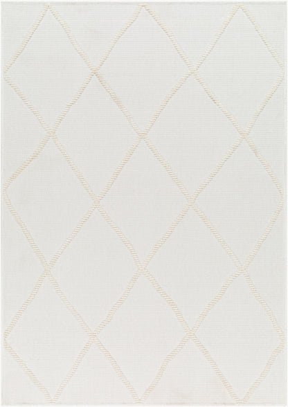 Lyna LYA-2303 2' x 3' Machine Woven Washable Accent Rug