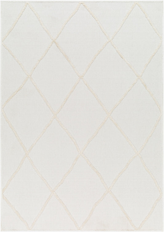 Lyna LYA-2303 5' x 7' Machine Woven Washable Area Rug