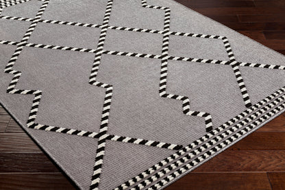 Lyna LYA-2320 3' x 5' Machine Woven Washable Accent Rug