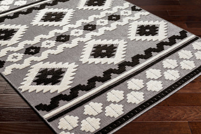 Lyna LYA-2321 2' x 3' Machine Woven Washable Accent Rug