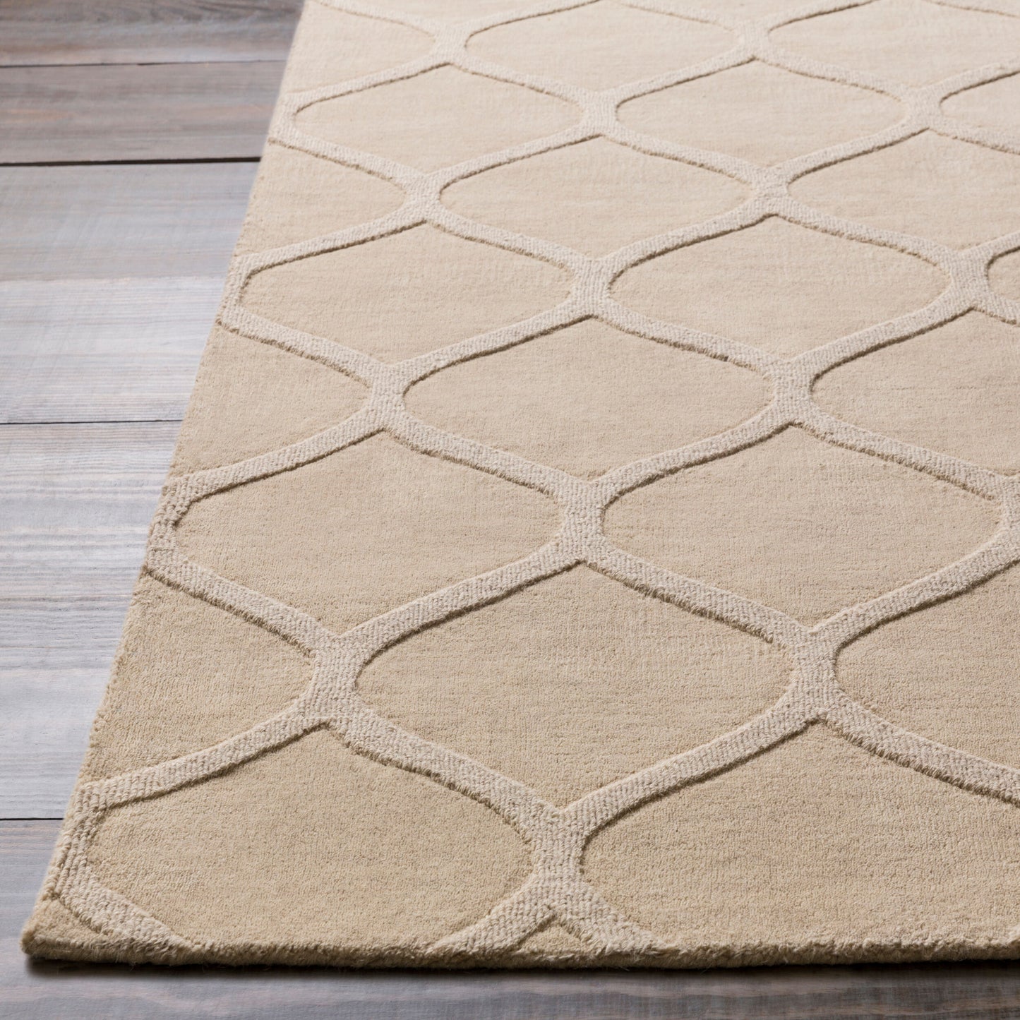 Alfombra decorativa de lana hecha a mano Mystique M-5107 de 2' x 3'