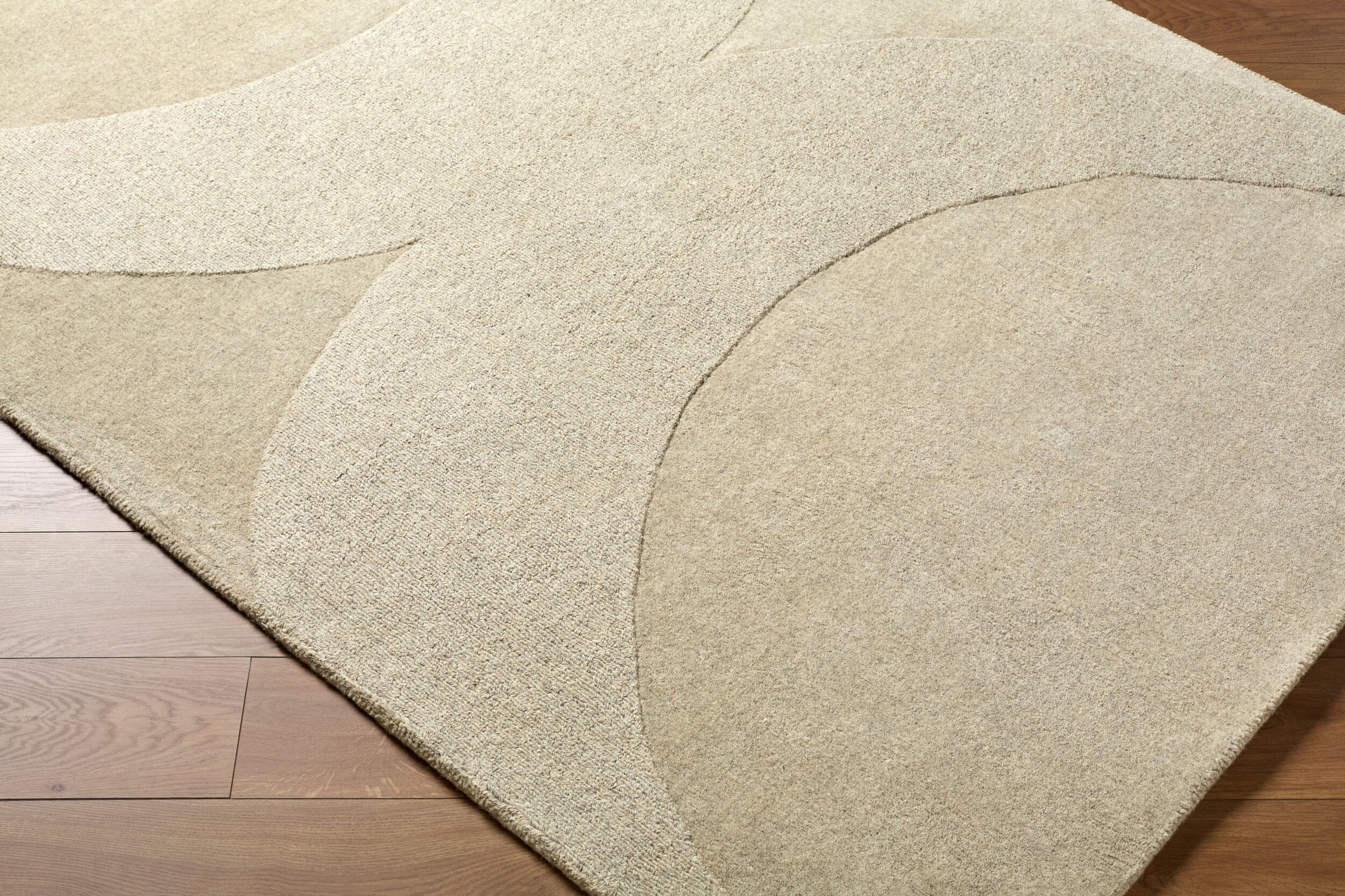 Mystique M-5478 Hand Loomed Rug