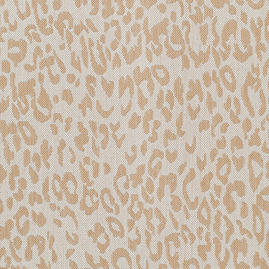 Alfombra Malibu MBU-2312 de 2,44 m x 3,05 m, tejida a máquina, para interior y exterior