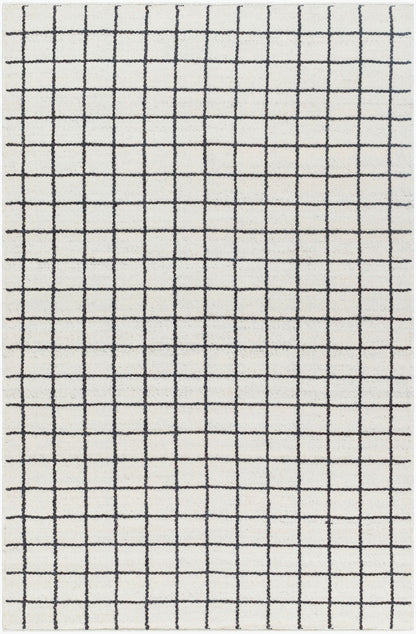 Marcela MCL-2302 Hand Woven Rug