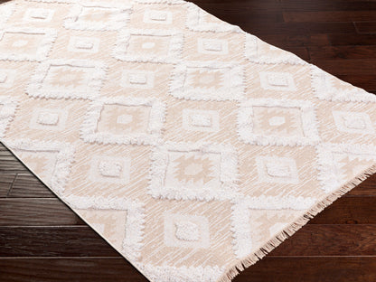 Morocotton MCT-2304 2' x 3' Machine Woven Accent Rug