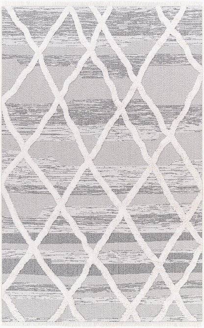 Morocotton MCT-2306 2' x 3' Machine Woven Accent Rug