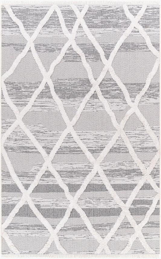 Morocotton MCT-2306 2' x 3' Machine Woven Accent Rug