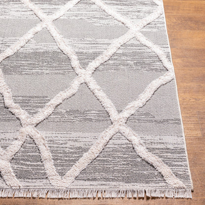 Morocotton MCT-2306 2' x 3' Machine Woven Accent Rug